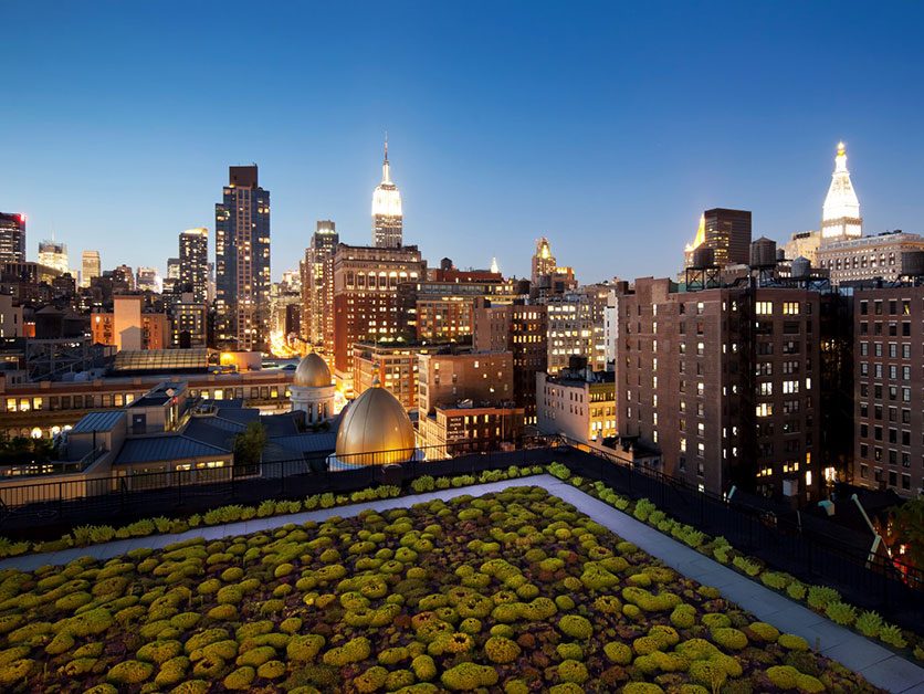 641 Avenue of the Americas green roof