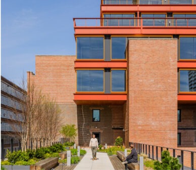 View of rooftop garden with person walking at center and overbuild behind.